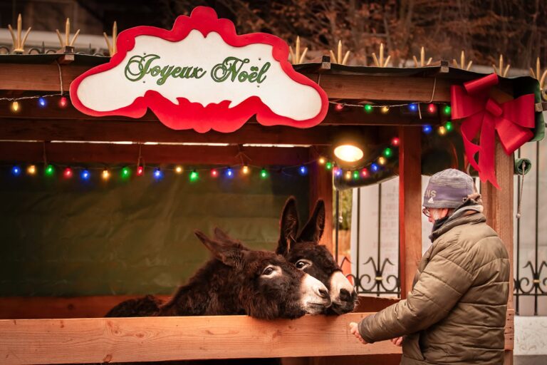 Les gens de la Terre